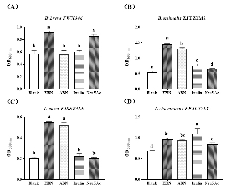 JDB电子(中国区)·官方网站