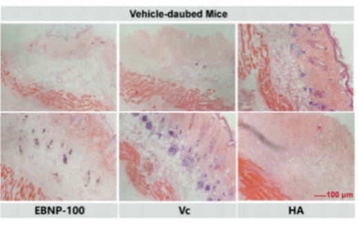 JDB电子(中国区)·官方网站