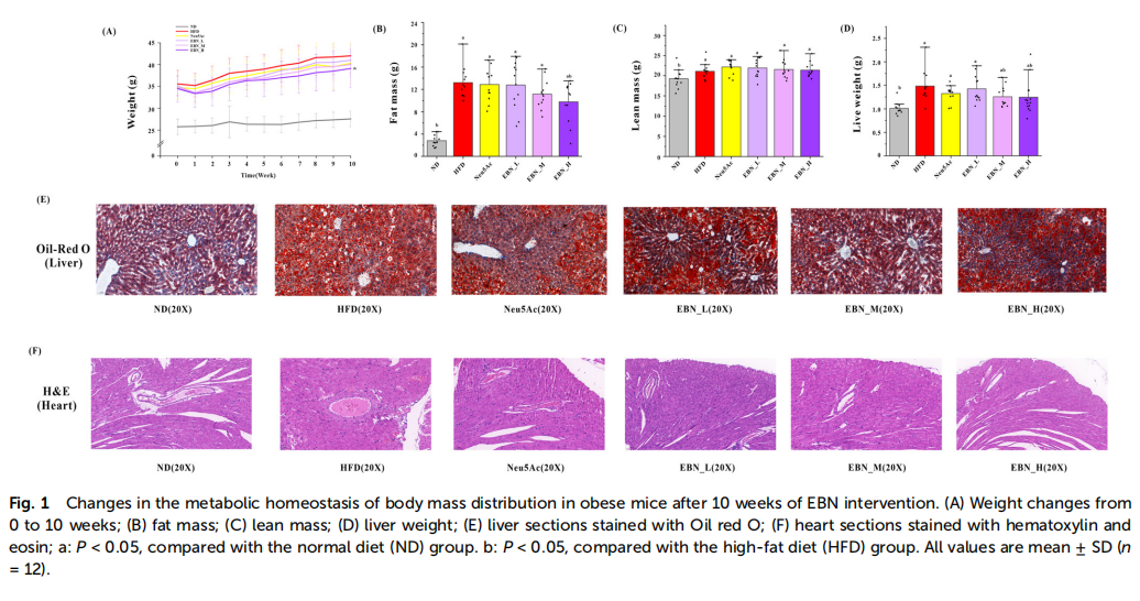 JDB电子(中国区)·官方网站