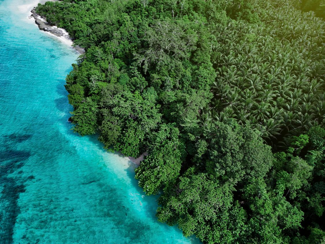 JDB电子(中国区)·官方网站