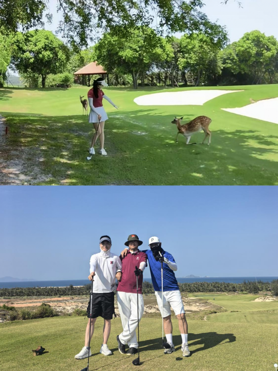 JDB电子(中国区)·官方网站