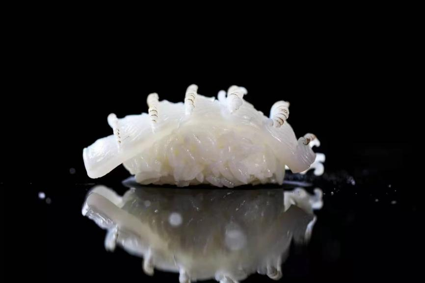 JDB电子(中国区)·官方网站