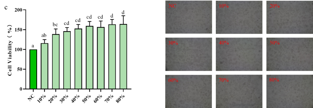 JDB电子(中国区)·官方网站