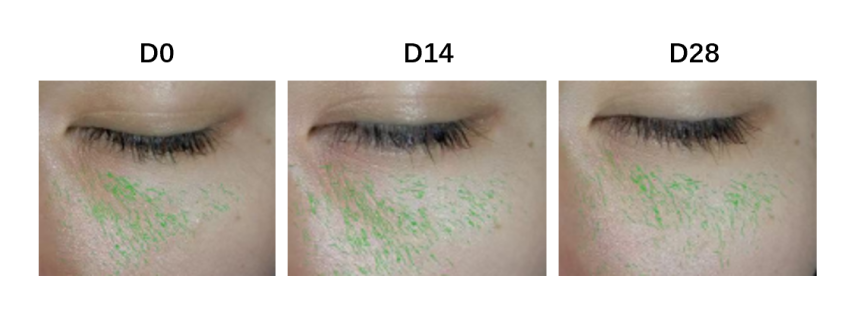 JDB电子(中国区)·官方网站