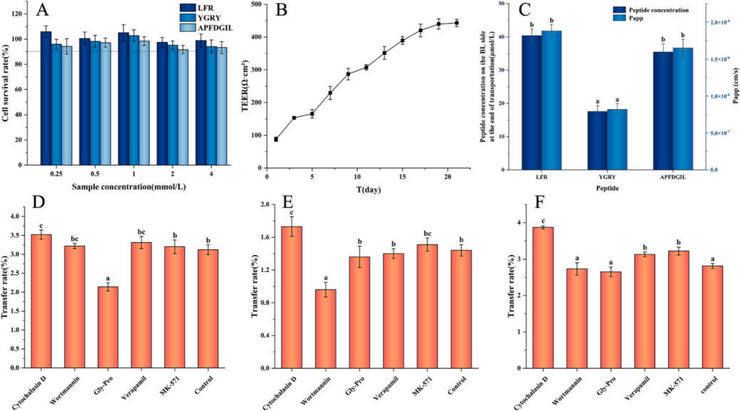 JDB电子(中国区)·官方网站