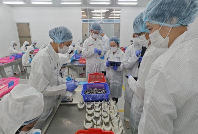 JDB电子(中国区)·官方网站